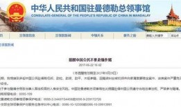 爆料缅甸网红视频播放网站,热门内容与幕后故事